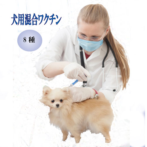 楽天市場 犬用８種混合ワクチン パルボ ジステンバー アデノウイルス パラインフルエンザ レプトスピラ 栃木県 足利市 大阪府 大阪市 京都府 京都市 兵庫県 神戸市 滋賀県 大津市 混合ワクチン代金と往診料 診察料の合計金額です 自然の森