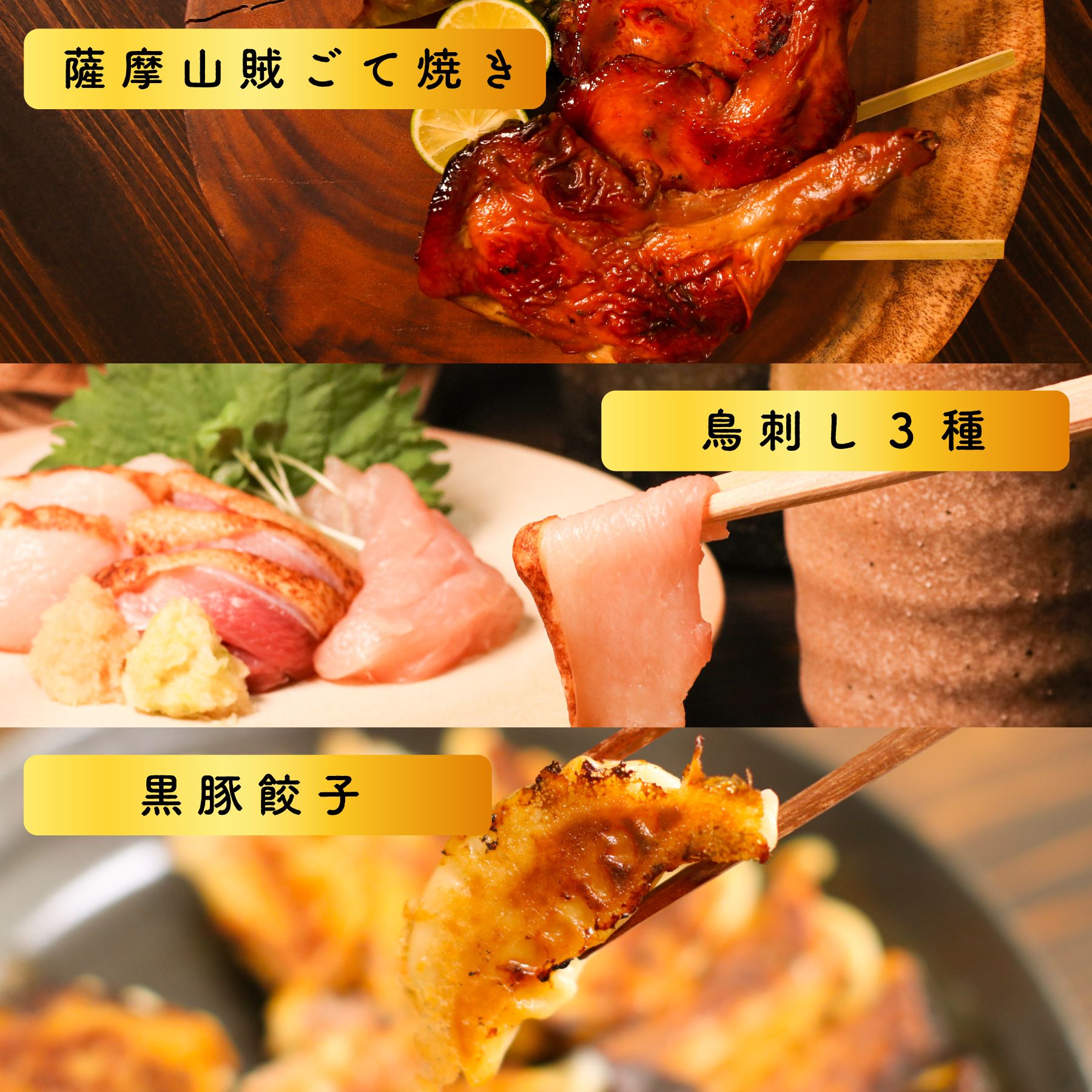 薩摩のちょい酒のつまみセット 薩摩名物鳥刺し モモ ムネ ささみ 250G ごて焼き1本 ぎょうざ 国産 冷凍 5☆大好評 スーパーセール 母の日 黒豚熊曽餃子10個 父の日 ギフト