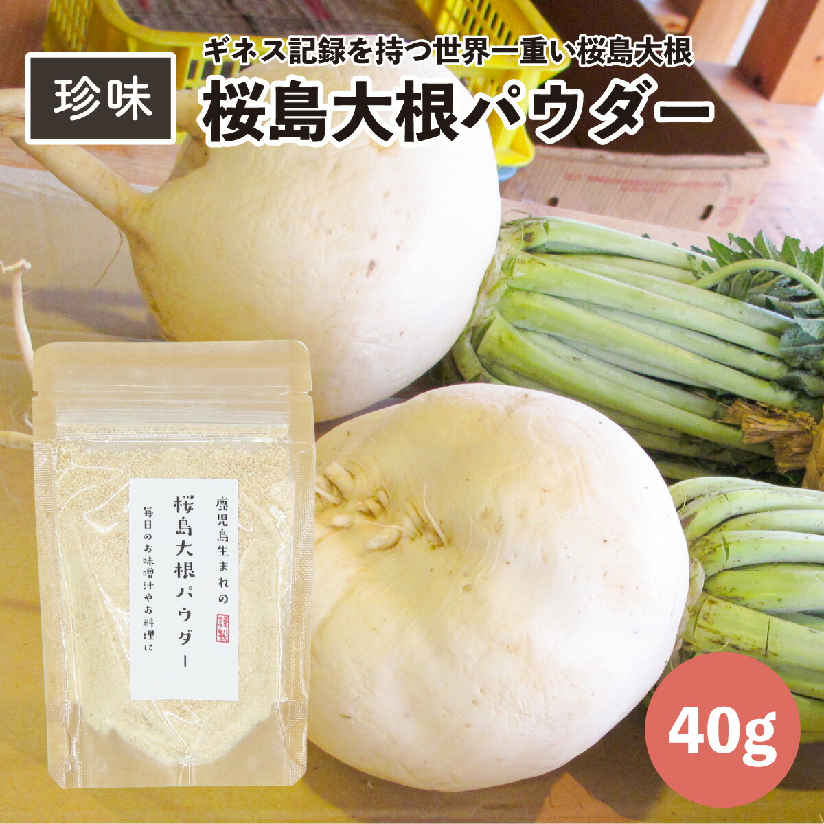 【楽天市場】【送料無料】桜島大根 パウダー 40g 鹿児島県産 大根おろし みぞれ 大根パウダー 大根粉末 乾燥野菜 乾燥大根 野菜パウダー