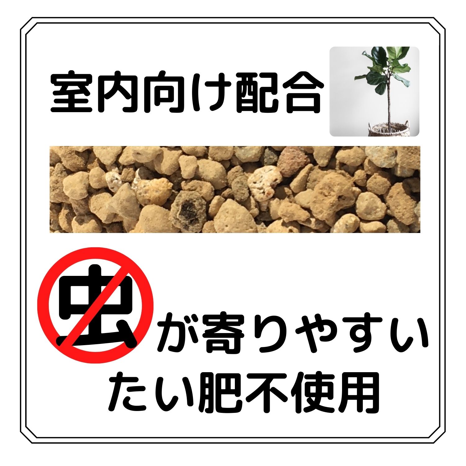 楽天市場 室内観葉 多肉植物の土 12l By 3 室内向け 清潔 たい肥不使用 有機物なし 観葉 サボテン 水はけが良い 自然倶楽部 楽天市場店