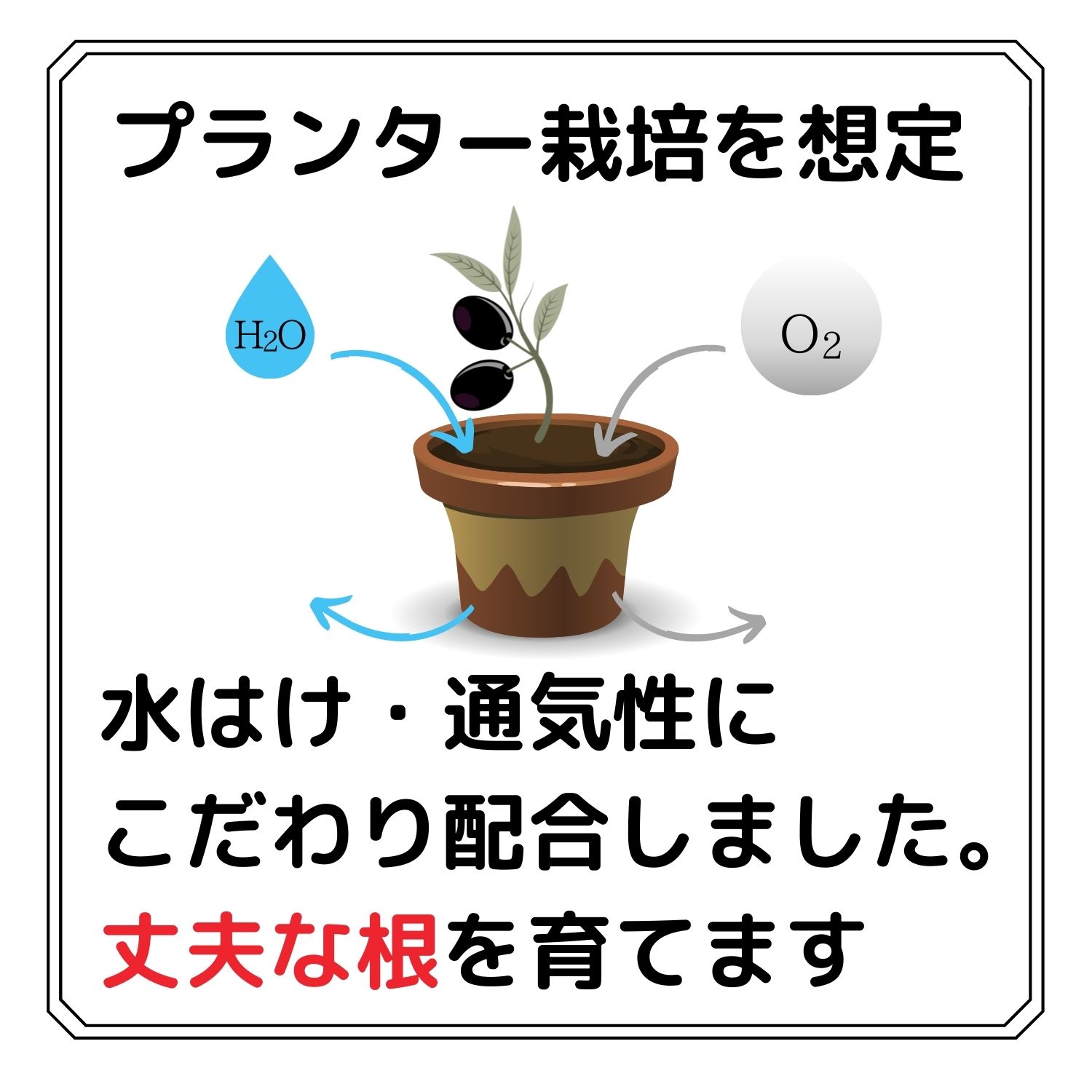 楽天市場 もっとこだわったオリーブの土 12l By 12 オリーブ 国産原料 プランター栽培用 通気性 排水性 抜群 12号鉢 肥料配合無し 自然倶楽部 楽天市場店