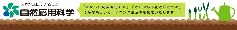 ѲʳءŷԾŹˤ䤵ڤǥ˥󥰤礷ޤ