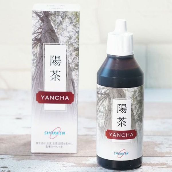 千坂式 陽茶（やんちゃ）（50g）【食健】【送料無料】