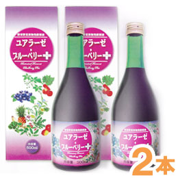 野草野菜果物発酵原液 ユアラーゼ・ブルーベリー＋（500ml）【2本セット】【ミヤトウ野草研究所】【送料無料】｜お～がにっくしぜんかん