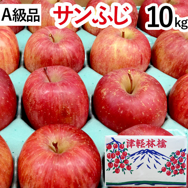 【A級品】サンふじ 青森りんご（約10kg）【竹嶋有機農園】【直送につき代引・同梱不可】【送料込】□