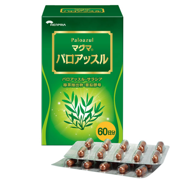 マグマパロアッスル（120宇宙カプセル（40宇宙カプセル×3袋））【ケンプ後ろ側】【貨物輸送無料】 サプリメント-その他