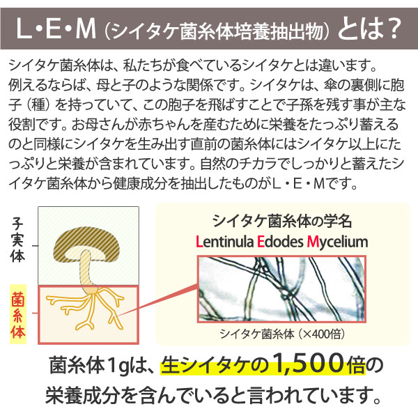送料無料 モンフェロン300 顆粒 60g 2g 30袋 オールグリーン Highsoftsistemas Com Br