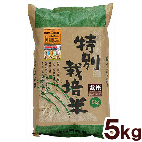 ★★数量限定★★令和7年産 特別栽培米・新篠津あやひめ 玄米（5kg）【ムソー】