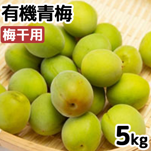 【予約6月下旬より順次発送予定】有機青梅・吉野の梅（梅干用）（5kg）【ムソー】【直送につき代引・同梱不可】【送料込】□