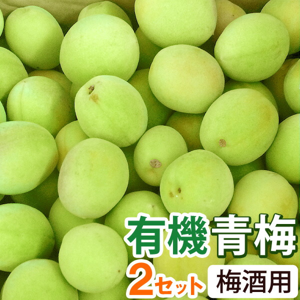 【予約注文】梅酒用・有機青梅（2kg）【2セット】【海の精】【クール便発送】【直送につき代引・同梱不可】【送料無料】