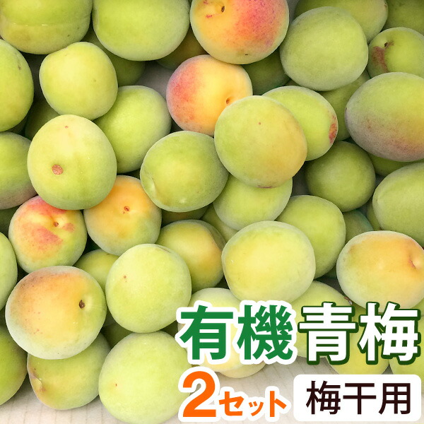 【予約注文】梅干用・有機青梅（2kg）【2セット】【海の精】【クール便発送】【直送につき代引・同梱不可】【送料無料】