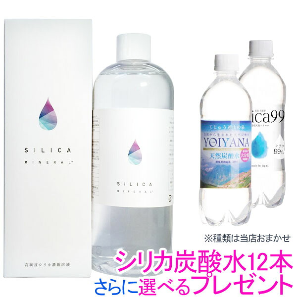梅干・梅酒・梅舎利別づくりに生青梅