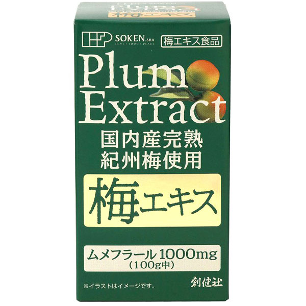 楽天市場】健康フーズ 梅肉エキス 紀州梅100％(90g)【健康フーズ