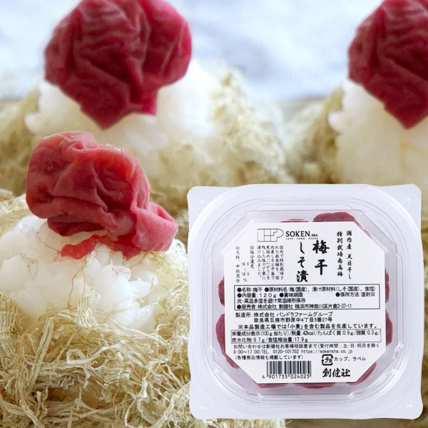 楽天市場】【数量限定】大分県産 黒川金右衛門 七折小梅（120g）【マル