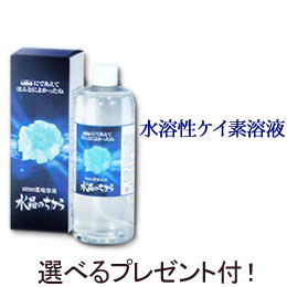 梅干・梅酒・梅舎利別づくりに生青梅