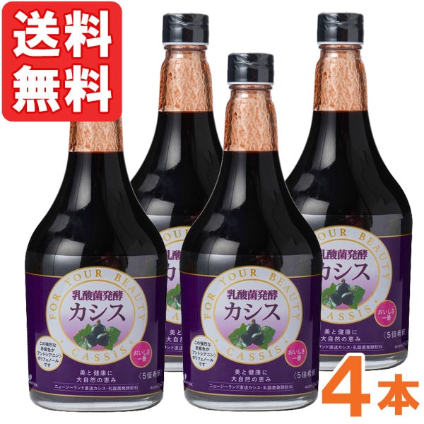 乳酸菌発酵カシス＜5倍希釈＞（565ml）ビン【4本セット】【ジャフマック】【送料無料】