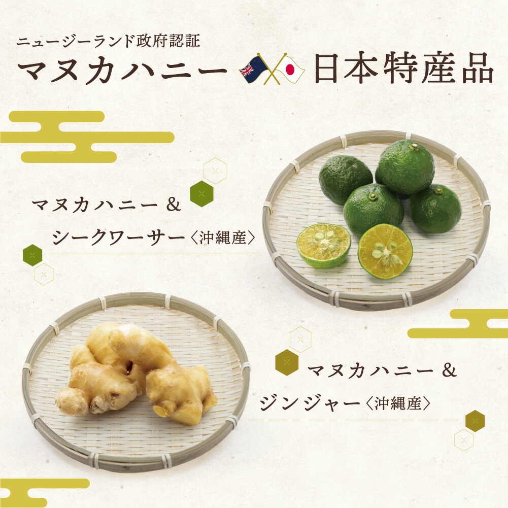 楽天市場 マヌカハニー Mgo 2 お試し Mgo Land マヌカ蜂蜜 100g 蜂蜜 ハチミツ はちみつ 国産 天然素材 ニュージーランド マヌカ ハニー 非加熱 美容 喉 健康 ギフト カラダノミライ 自然通販