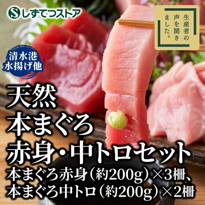 【清水港 水揚げ】天然 本まぐろ セット（ 赤身  中トロ ）国産 鮪 本鮪 刺身  まぐろ丼 中とろ 本まぐろ 海鮮 静岡 お取り寄せグルメ 冷凍 トロ 高級 贈り物 贈答用   送料無料  プレゼント ギフト SSR05