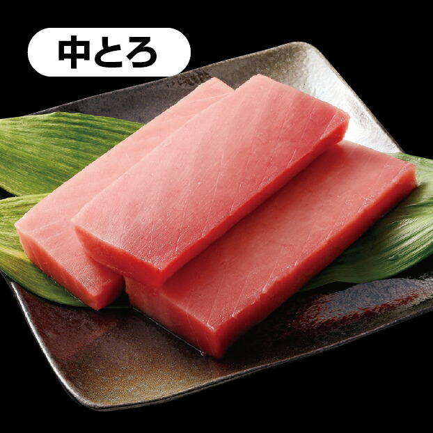 【送料無料】夏ギフト 冷凍大ばちまぐろ中とろ お中元 サマーギフト gift6816120300104 SS019｜静鉄ストア店