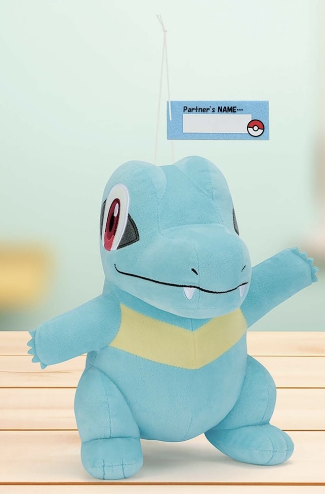 楽天市場】【ボチ】ポケットモンスター もふぐっとぬいぐるみ