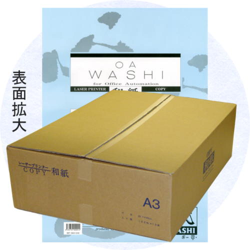 楽天市場】ＯＡ用紙 イシカワ ＯＡ和紙特厚口 Ａ４判 100枚入り WP