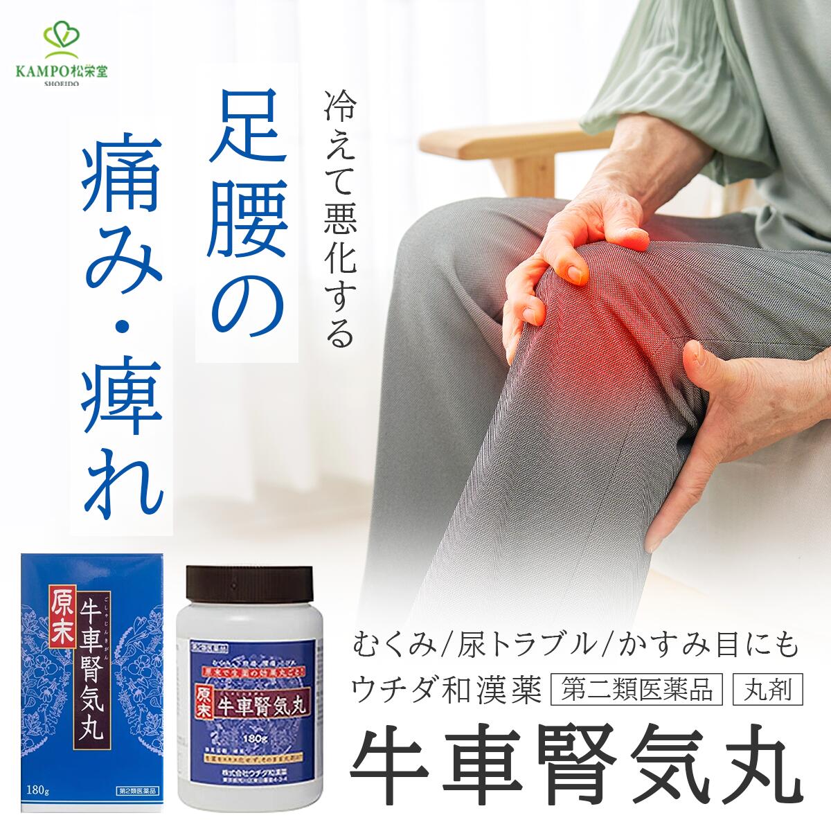 【LINE追加で最大500円オフ】第2類医薬品 牛車腎気丸 原末 180g 約1800丸 丸剤 ゴシャジンギガン 腰痛 しびれ かすみ目 頻尿 排尿困難 むくみ 漢方薬 ウチダ和漢薬 飲みやすい丸剤