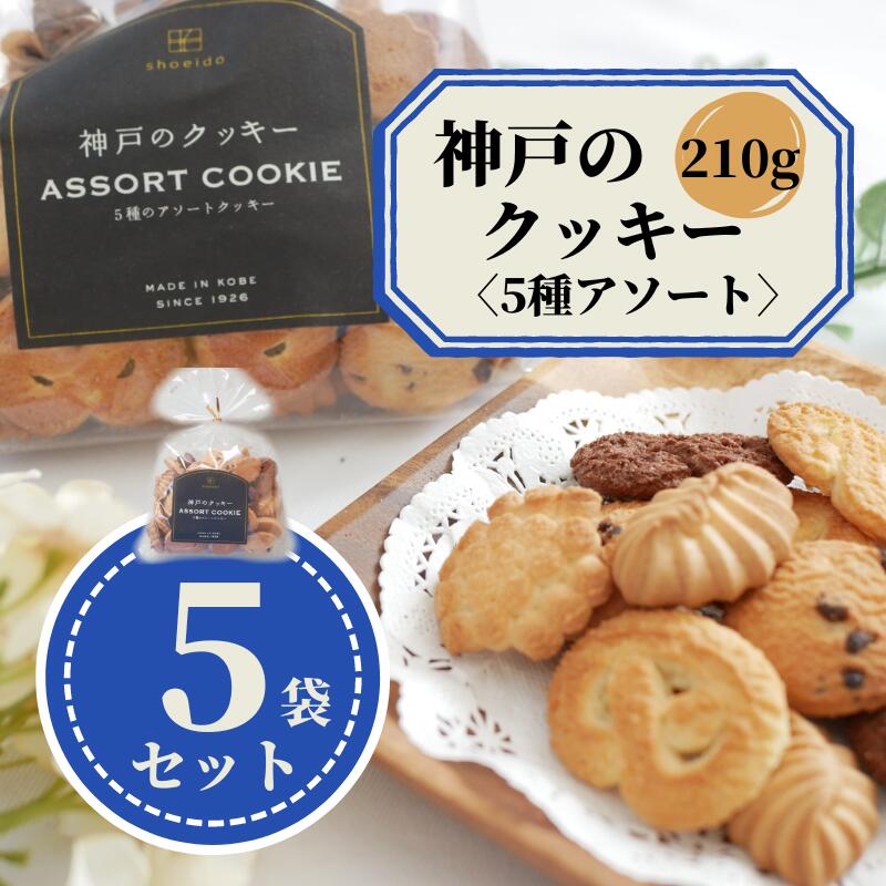 たっぷり！！昭栄堂割れクッキーパイ 無選別  300g