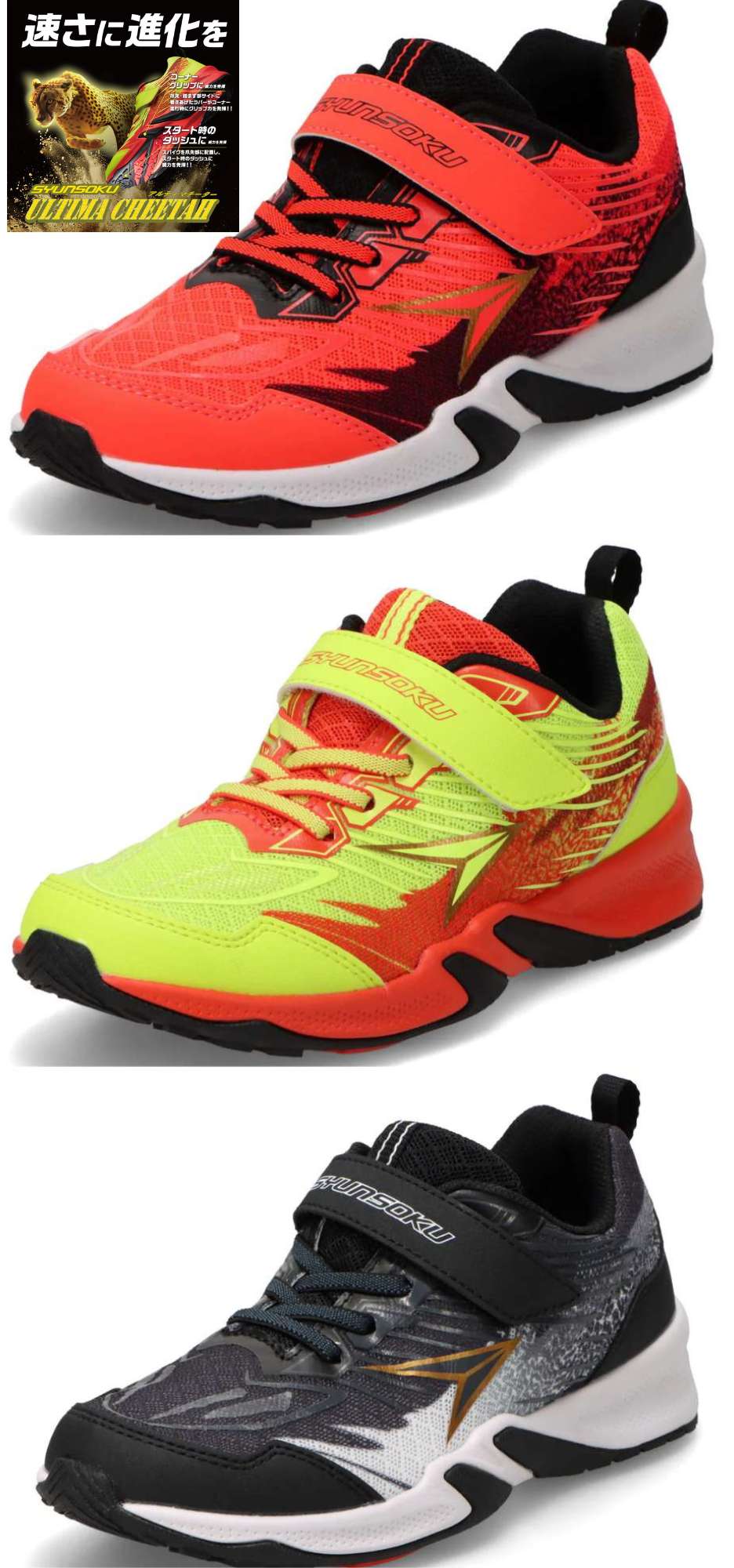 チーター 2007 Forest River Sunseeker 2860DS - National Vehicle