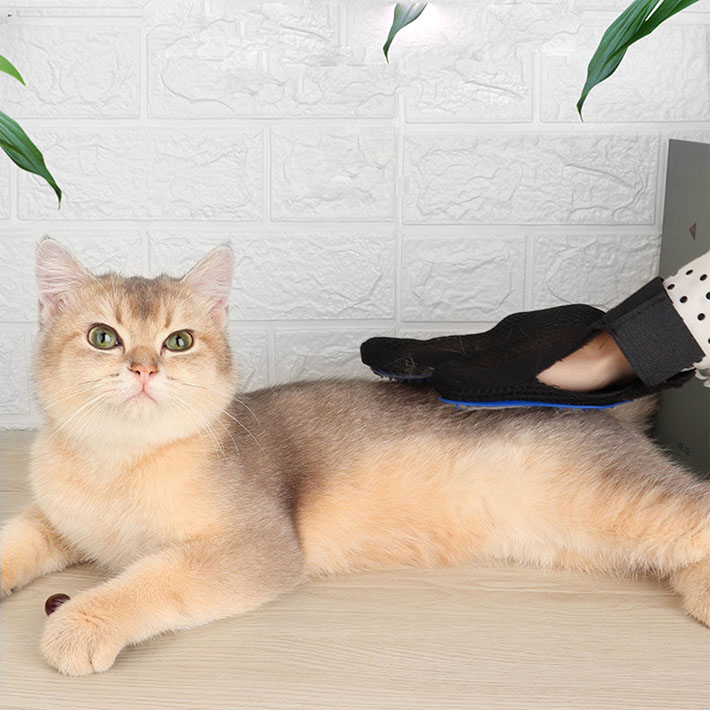 人気ブランドの新作 ペット グルーミング グローブ ブラシ 手袋 犬 猫 マッサージ 抜け毛抜き 毛玉除去 毛取り マッサージ手袋 抜け毛対策 グルーミンググローブ ペット用品 ペットグッズ 換毛期 右手用 Mb Qdtek Vn