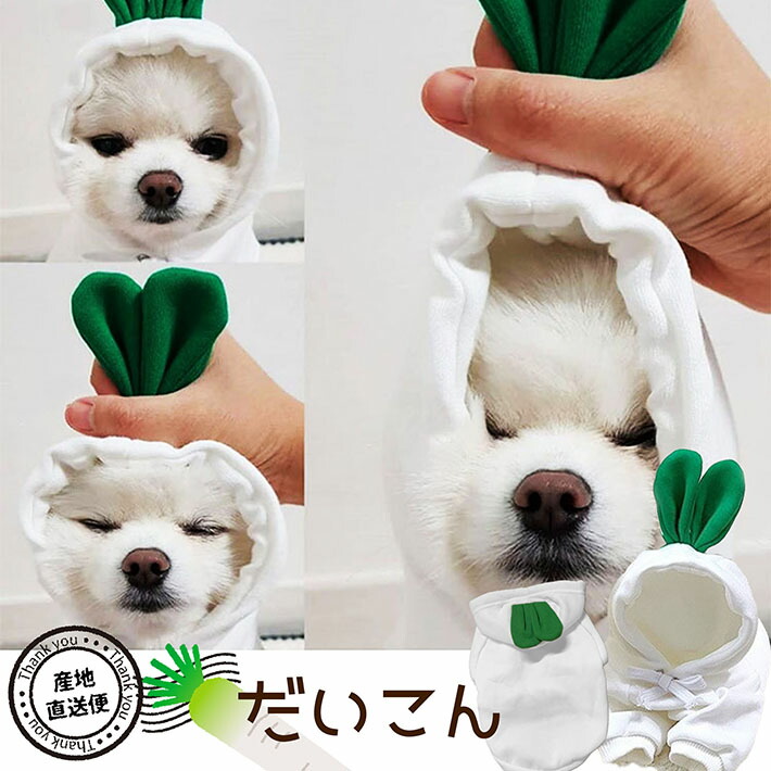 返品不可 ドッグウェア パーカー 犬服 暖かい 冬 冬服 男の子 女の子 ペット服 Nek Rev 小型犬 お散歩 かっこいい かわいい 裏起毛 野菜 やさい だいこん にんじん ベジタブル りんご バナナ かえる 韓国 インスタ映え Qdtek Vn