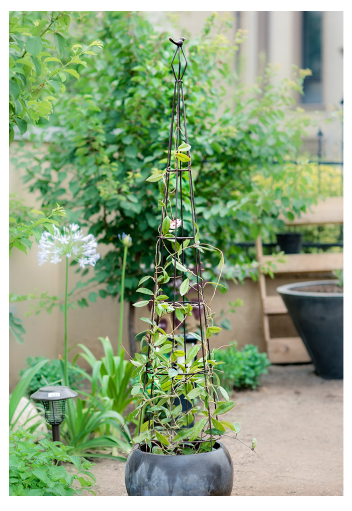 送料無料 ツリー型 インテリア ツル植物 アイアン 蔓性植物 北欧 おしゃれ ディスプレイ つるバラ 草花 オベリスク バラ