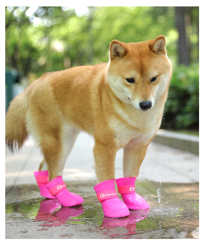 犬用 レインブーツ 4個セット 履かせやすい 犬用レインシューズ かわいい 雨 雪 ドッグシューズ 愛犬 散歩 保護 ペット用 長靴