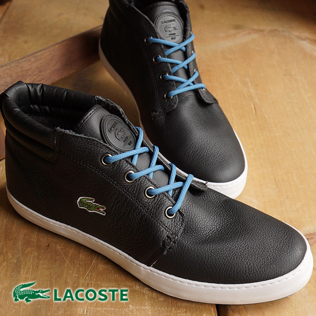 lacoste ampthill terra