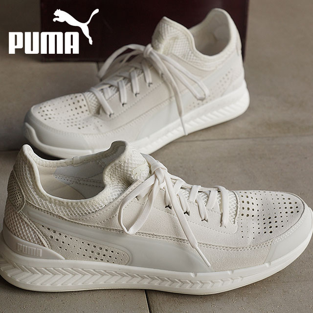 puma ignite sock turnschuh herren puma ignite sock turnschuh herren