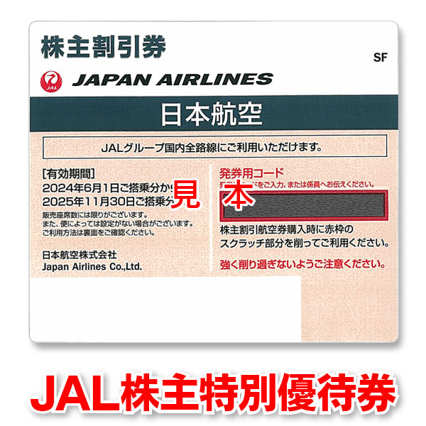 ＡＮＡ　株主優待券　２枚組　平成31年11月30日まで