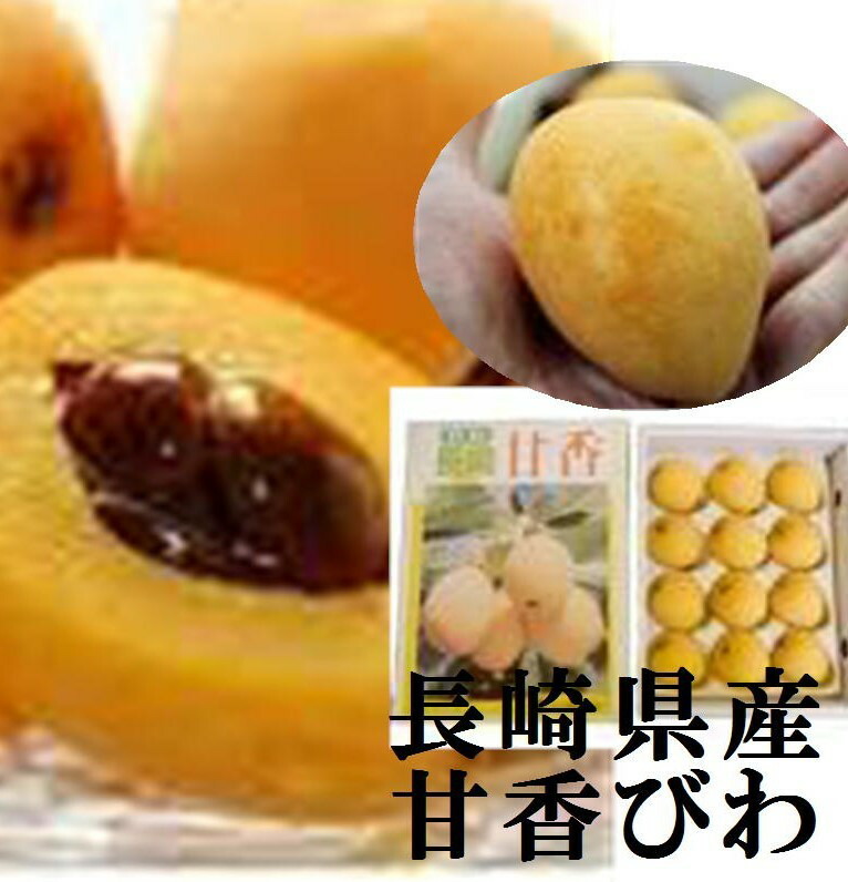 「大玉厳選 希少品種！！」長崎県産　ハウス栽培　甘香びわ　1箱１ｋｇ