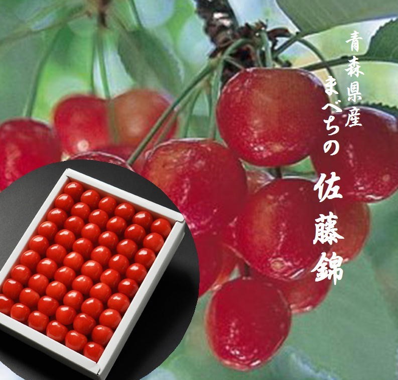 青森県馬淵営農センター　佐藤錦　進物用　３００ｇ1箱　化粧箱入り