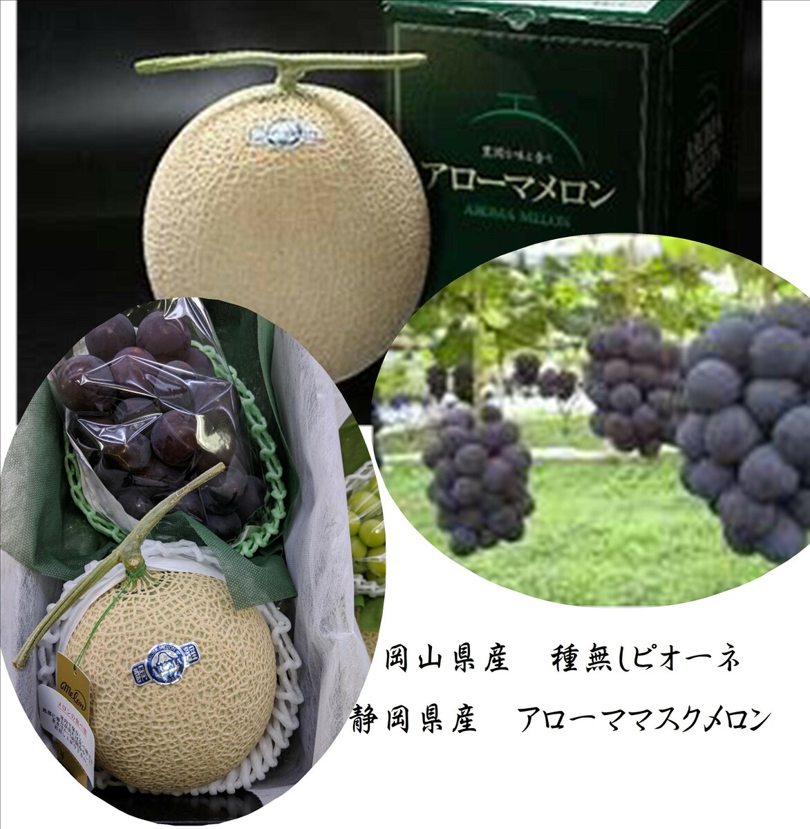 アールスメロン 一箱限定　6個入り 長崎県産 アールスメロン 秀品 Lサイズ 6玉入り (箱) 国産