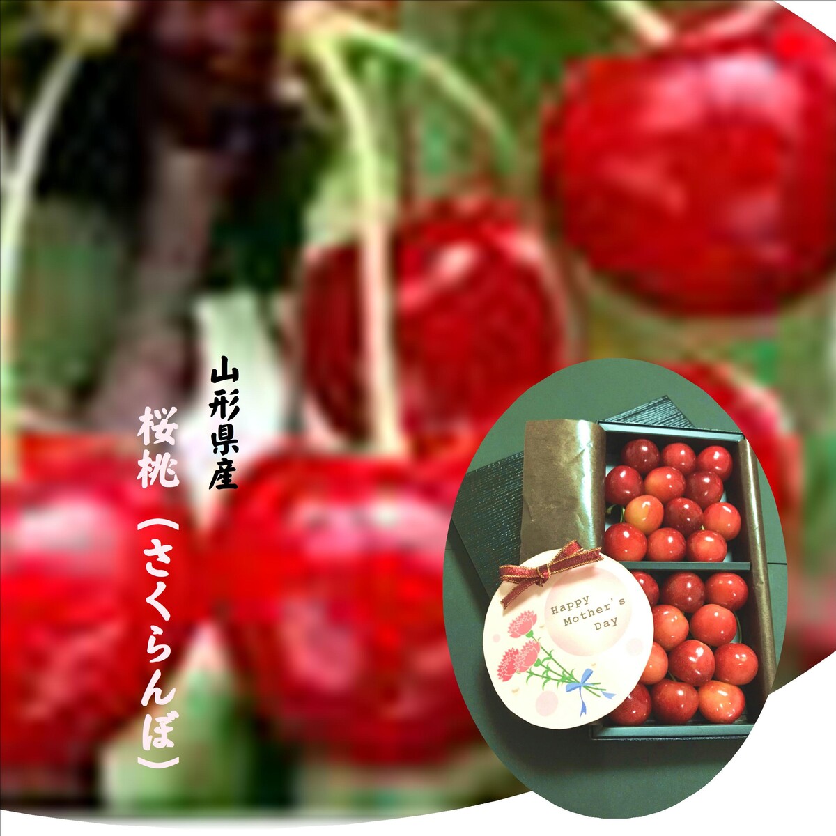 バイヤーが選んだ　「山形県産ハウス栽培　佐藤錦　L～2L　150ｇ　手詰め化粧箱入り（進物用）」※カードのデザインが変わる場合が御座います。商品仕様の粒数は大きさにより変わります。