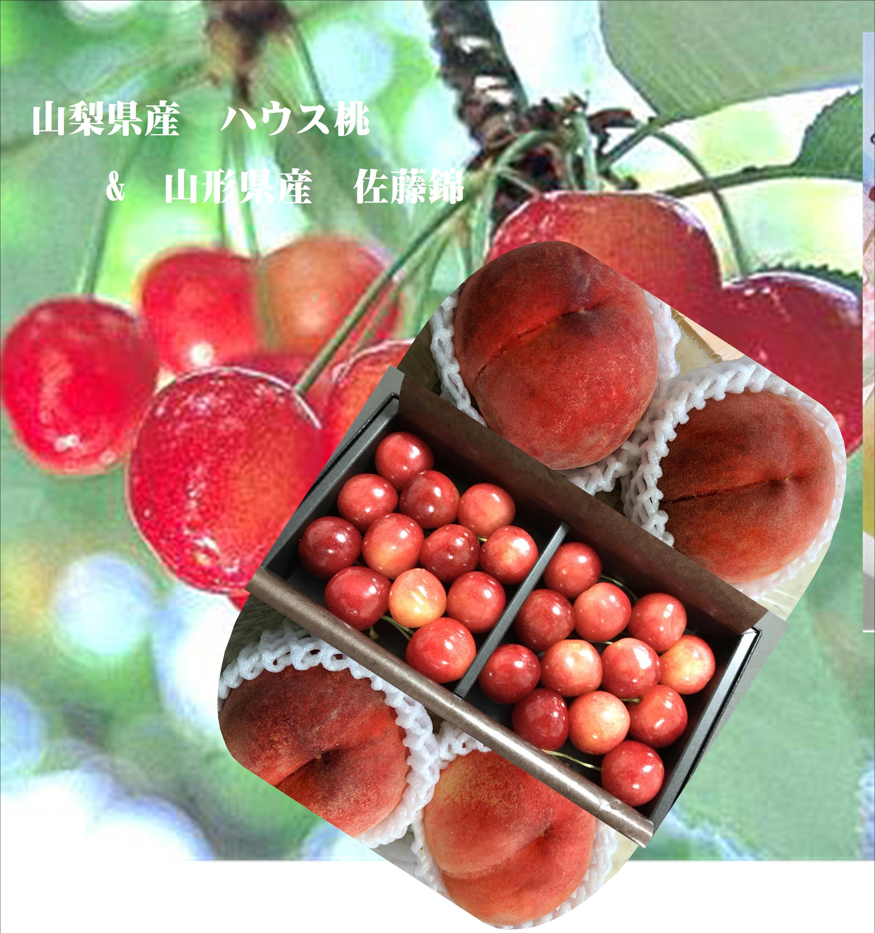 バイヤーが選んだ　山形県産　佐藤錦　（L～2L　150ｇ　手詰め化粧箱入り（進物用）&山梨県産　ハウス栽培　蜜桃（4玉）１玉あたり200ｇ以上※商品仕様の個数は箱の数量です。