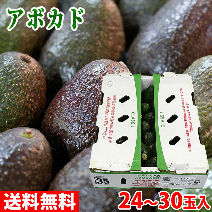 【送料無料】 メキシコ産　アボカド　24～30玉入り （箱）