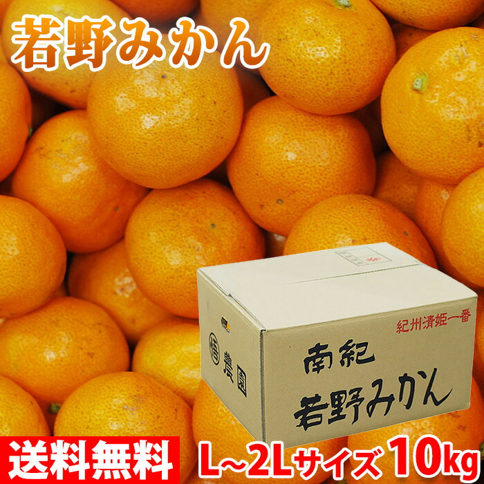 南紀 若野みかん 秀品 L〜2Lサイズ 10kg 箱 ハイクオリティ