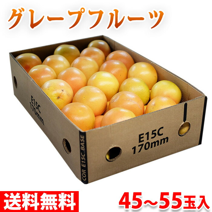 南アフリカ産 グレープフルーツ コマチ 45 55玉 約15kg スタールビー ランキング第1位