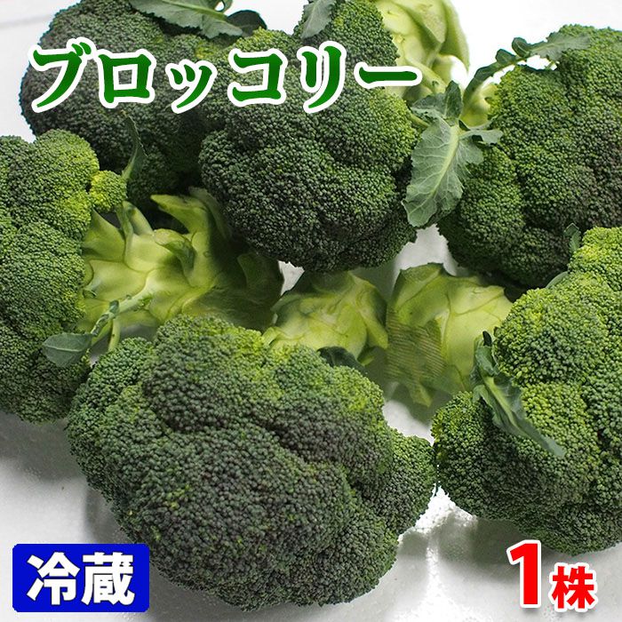楽天市場 徳島県産 ブロッコリー 秀品 Lサイズ 1株 生鮮食品直送便