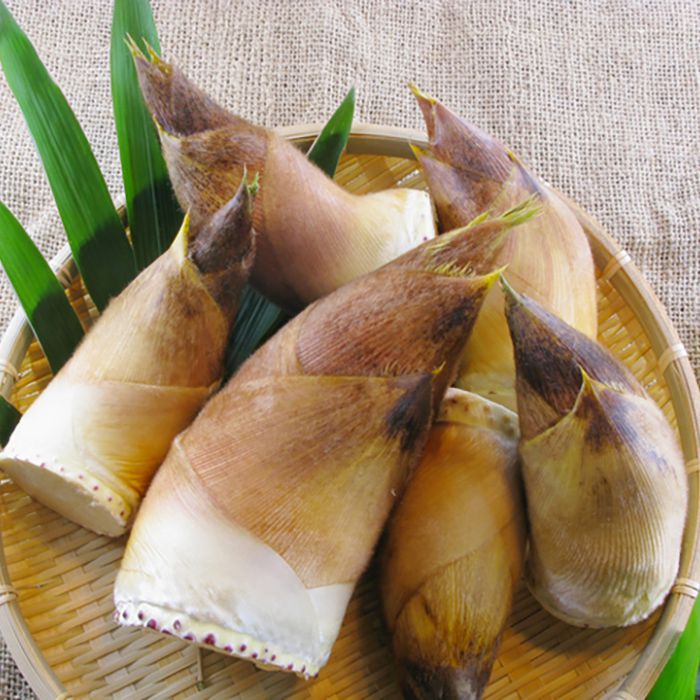 楽天市場 送料無料 京都府産 朝掘り 京たけのこ 約4kg箱 5 7本入り 生鮮食品直送便 楽天市場 送料無料 京都府産 朝掘り 京たけのこ 約4kg箱 5 7本入り 生鮮食品直送便