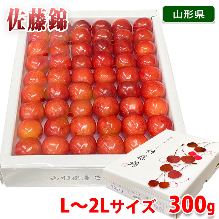 送料無料 山形県産 さくらんぼ 佐藤錦 Lサイズ 48粒入り 300g 化粧箱 Dichvucongichquan1 Com