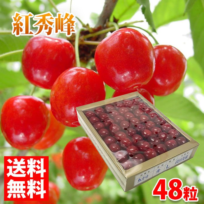 驚きの安さ 楽天市場 送料無料 長野県産 さくらんぼ 紅秀峰 Lサイズ 48粒入り 化粧箱 生鮮食品直送便 メーカー包装済 Lexusoman Com