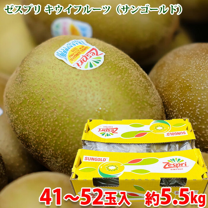 【送料無料】 ニュージーランド産 キウイフルーツ ゼスプリ サンゴールド 中玉サイズ　41～52玉入　約5.5kg （箱） ゴールドキウイ