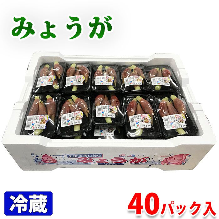 みょうが　出品 楽天市場】高知県産 みょうが 50gパック : 生鮮食品直送便