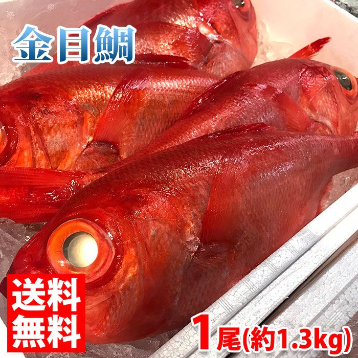 豊富なギフト 活〆 真鯛 １枚 約1.8ｋｇ 愛媛県産 養殖